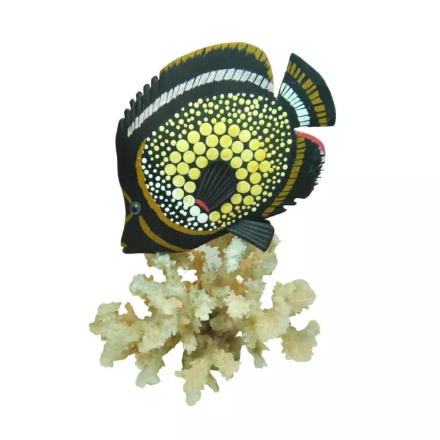 Wood Angelfish on a Natural Coral for Home Decoration or Office