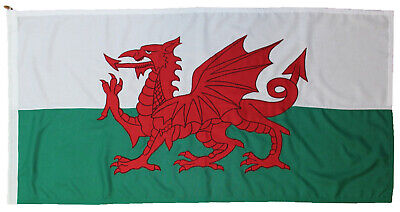 Welsh Wales Dragon flag MoD Ddraig Goch sewn size outdoor rope embroidered pole