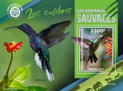 2019 Colibri Colibrì GU190317b Francobollo Souvenir Foglio Colibri Guinea 
