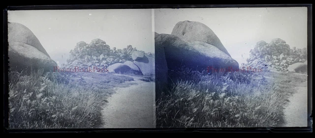 Paysage Photo Plaque de verre Amateur c1930 NEGATIVE Stereo Vintage PL28L8n