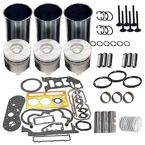 D902 Rebuild Kit Fit for Kubota RTV900 RTV900G9 RTV900W9 RTV900R RTV900R6