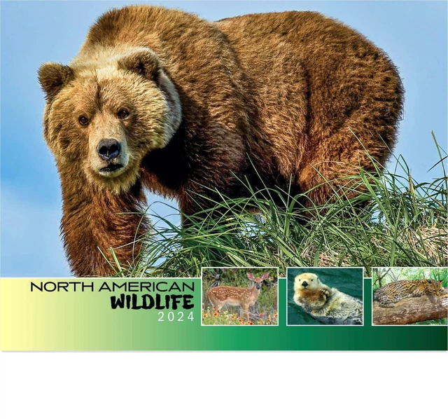 20232024 WALL CALENDAR North American Wildlife Brand New Free Shipping