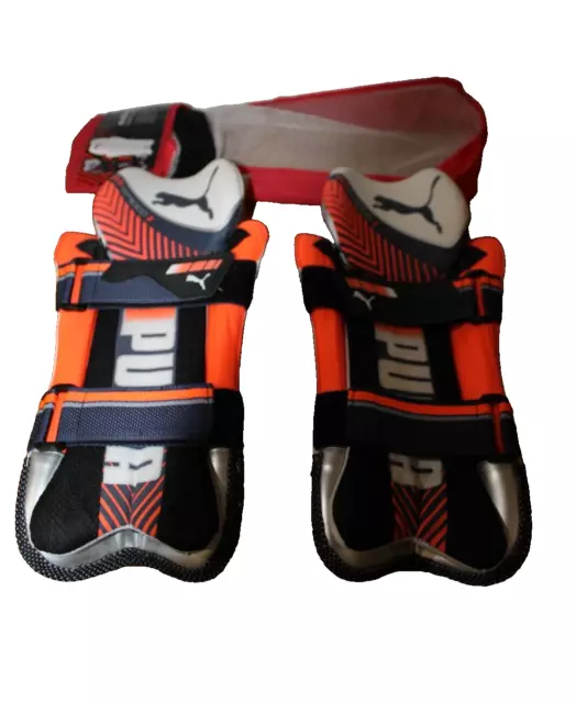 Puma evo discount 2 batting pads