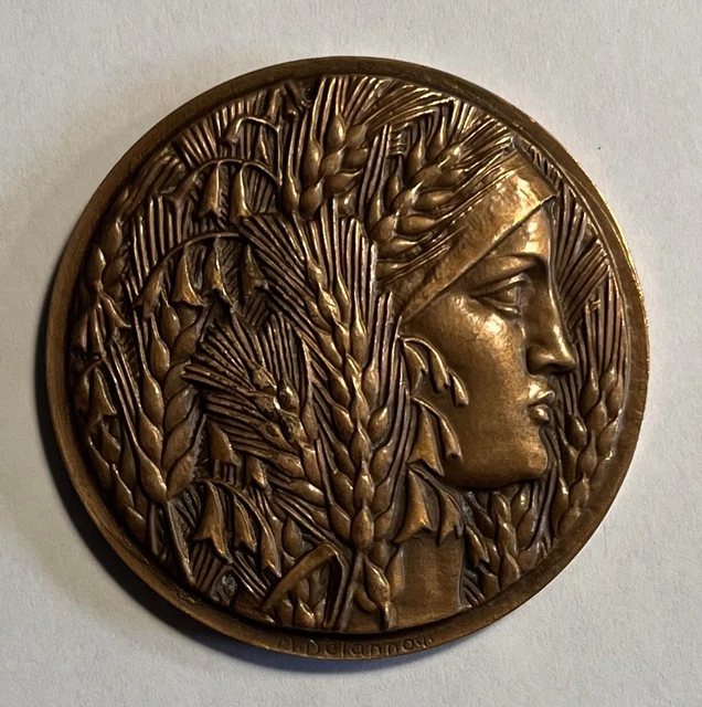 Ancienne Médaille Agriculture – Bronze – Thème Science Et Labeur