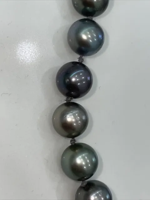 TAHITIAN CULTURED PEARL Necklace with 14K White Gold Clasp $2,000.00 ...