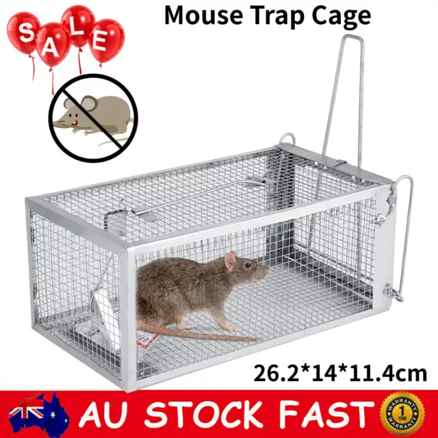 Victorian Mouse Live Trap Wire Cage Humane Trap 