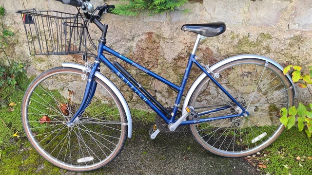 Raleigh pioneer sales commuter