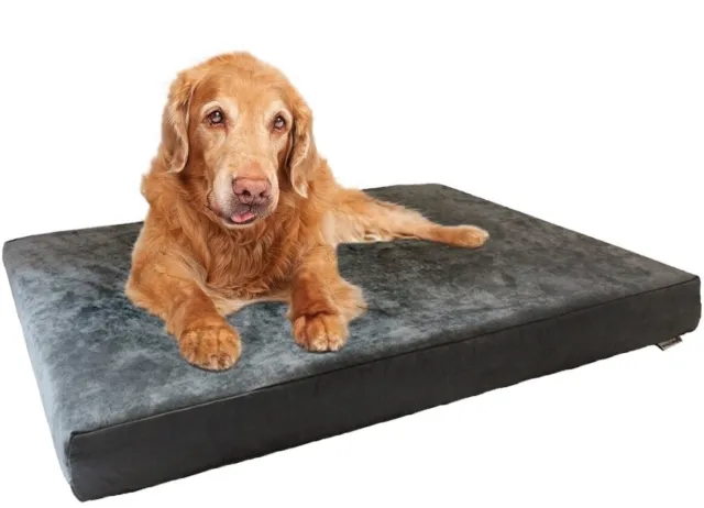 Large Gray Suede Pet Dog Bed Orthopedic Waterproof Memory Foam 41x27 Crate 42x28