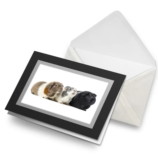 Old English Co. Carte De Vu0153ux Aquarelle Rouge-gorge Pour