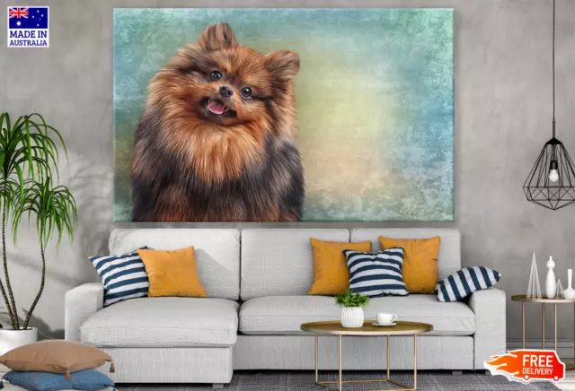 Pomeranian Portrait Oil Painting Wall Canvas Home Decor Australian Made Quality