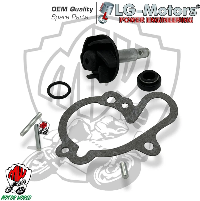 3112386 ZYLINDER MALOSSI 77CC D.50 HM DERAPAGE RR 11 50 2T LC
