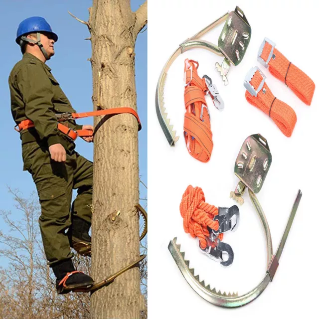 Tree Climbing Spikes with Safety Harness Adjustable Belt & Wooden Foot Buckle