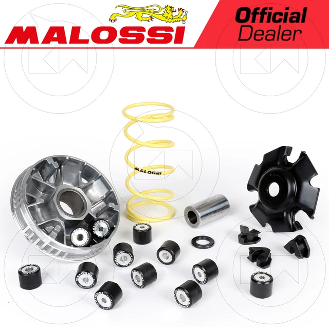 Variateur MALOSSI 5114404 Multivar 2000 PGO Gmax 4T LC (GY6) 150