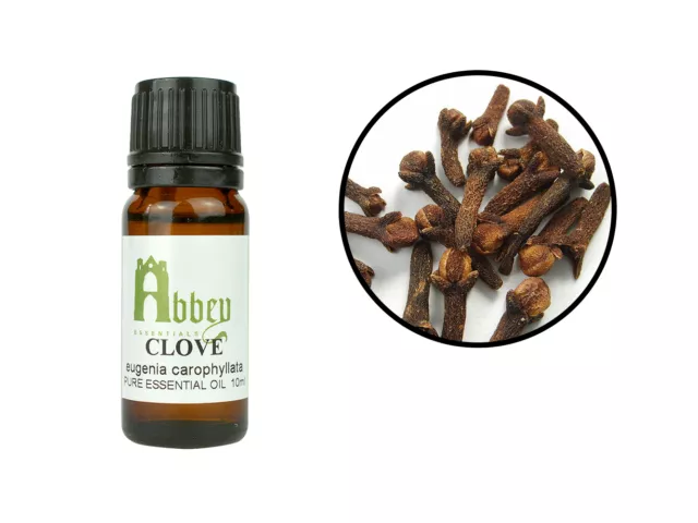 Essential Oil Clove 100% Pure Aromatherapy 10ml - 1 Litre UK
