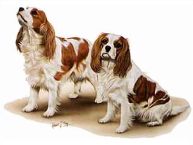 Cavalier King Charles Spaniel Group Dog Robert May Art Greeting Card Set of 6