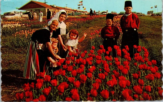 Tulip Time Holland Michigan MI Dutch Children Wooden Shoe Factory Postard PM WOB