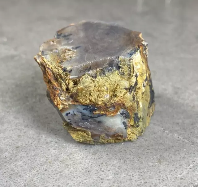 Opalized Petrified Wood Display Specimen From Oregon's Blue Mountains