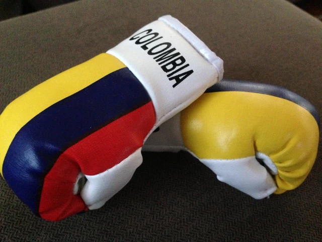 Personalized Boxing Gloves Ornament, Custom Acrylic Boxing Ornament Fo Him And Her