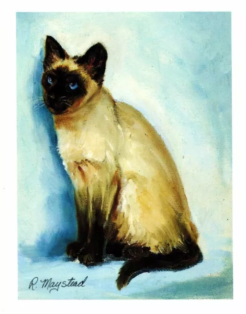 New Seal Point Siamese Cat Notecard Set - 6 Blank Note Cards By Ruth Maystead