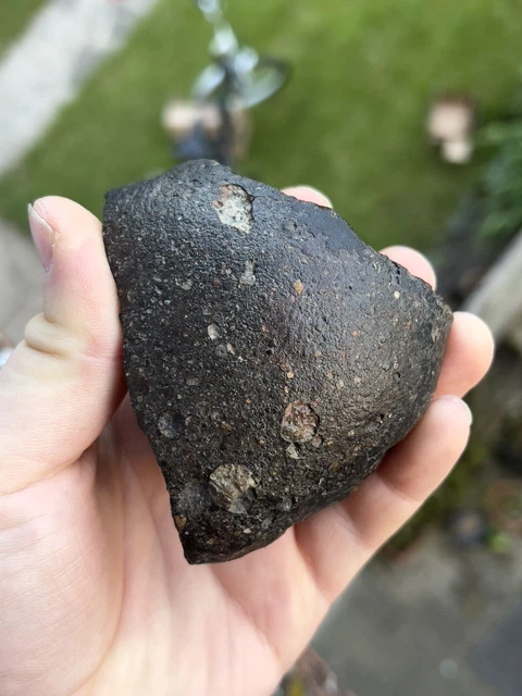 Possible L3-4 Chondrite NWA Chondules