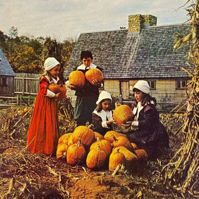 Pilgrim Children Thanksgiving Pumpkin Plymouth MA Chrome Postcard