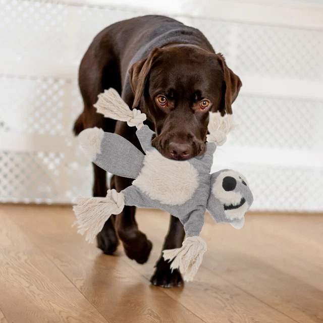 2 Pcs Pas De Jouets À Mâcher Farcis Interactifs Pour Chiens Furbee Chiot