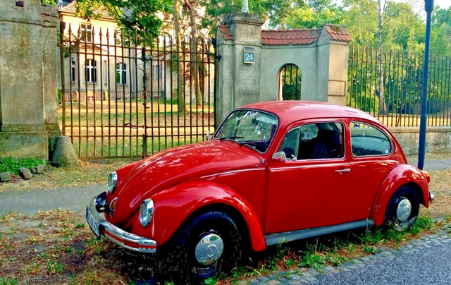 roter Käfer sucht neuen Besitzer 3