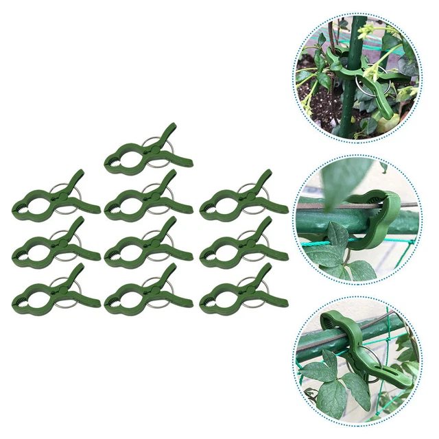 10pcs Clips Orchidee Clips Gartenblumenstütze Clips Stamm Vine Clips