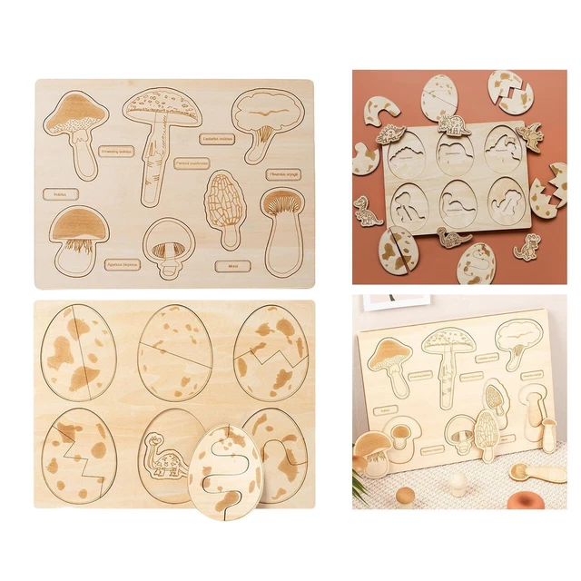Surakey Giocattolo Montessori In Legno - Ciclo Di Vita Animali E Piante Con Tavola E 5 Figure