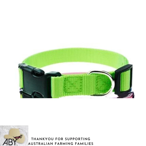 9 Colour pet puppy dog adjustable nylon collars