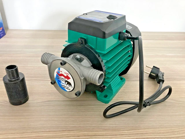 Pompa di trasferimento carburante diesel olio da 13,2 GPM 750 W...