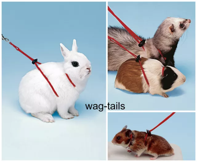 Ferplast Red Nylon Hamster Guinea Pig Rabbit Harness & Lead