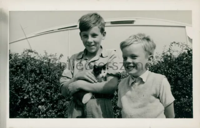 1953 boys With A Kitten  original photo 5.5 x 3.5 inches