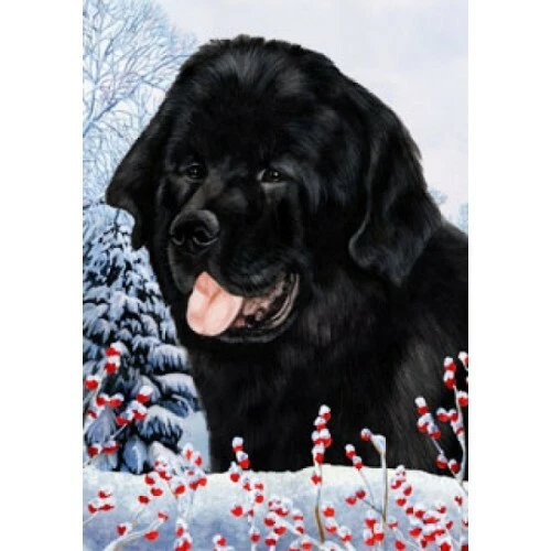 Winter House Flag - Newfoundland 15079