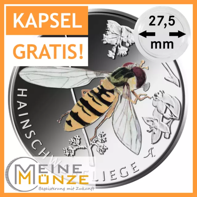 5 Euro Münze HAINSCHWEBFLIEGE Deutschland 2024 Serie "Wunderwelt Insekten" ST