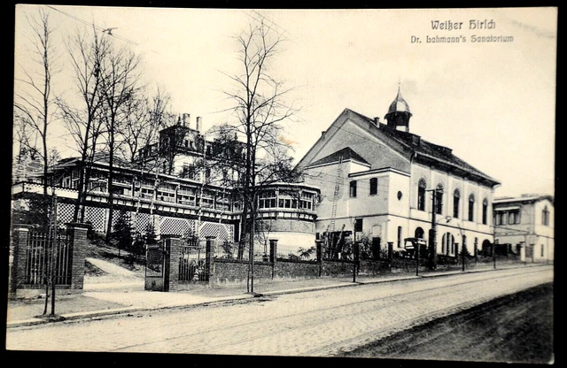 Carte Postale Ancienne Dresde – Cerf Blanc, Vue Rue De L'école, Photo Noir Et Blanc, Originale