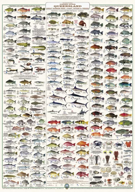 Fish Identification - Fishers Guide QLD & GBR - LAMINATED - WALL CHART