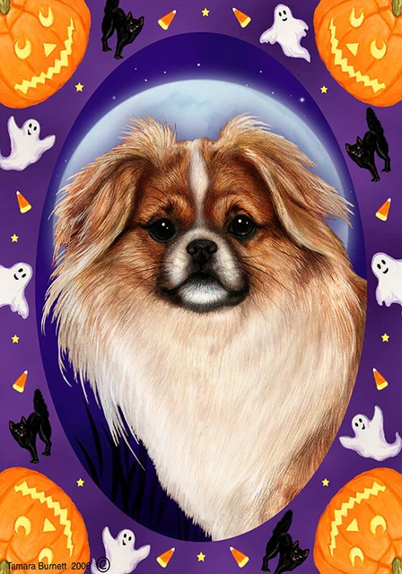 Halloween Garden Flag - Red and White Sable Tibetan Spaniel 124761