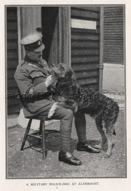 DOG Airedale Terrier War Dog British Military Police Aldershot Antique Print