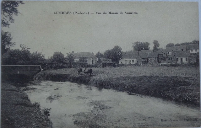Lumbres 62 CPA View From Marsh Of Samettes Good Condition 1916