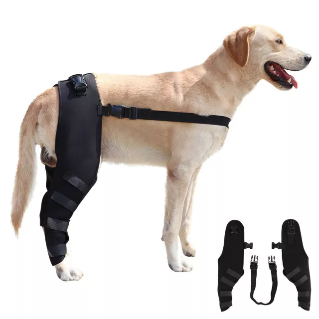 Dog Brace Back Leg Support Pair of Hock Braces for Hind Legs Knee Wrap XS-L