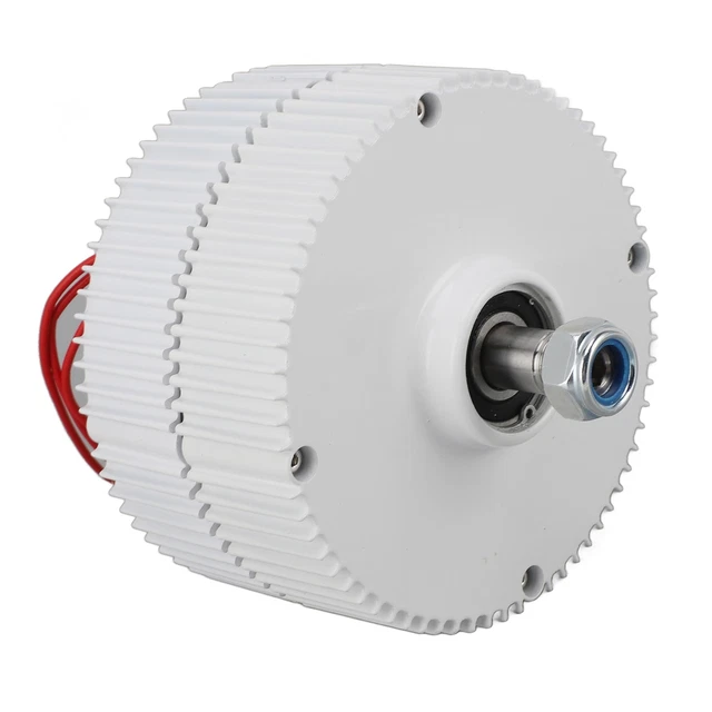 Motore Sincrono Magnete Permanente Doppio Albero Alternatore CA 3 FASI 12V 300W Nuovo