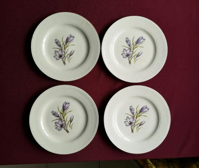 lot de 4 assiettes en  porcelaine blanche motif crocus
