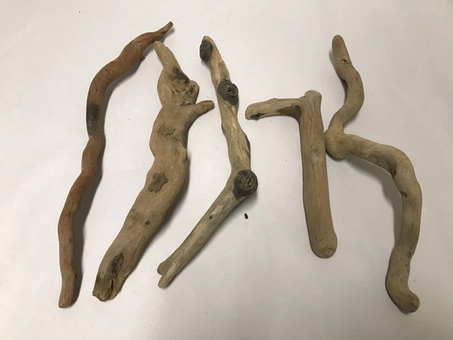Lot of 5 pcs driftwood freshwater terrarium aquarium crafts 10-12"