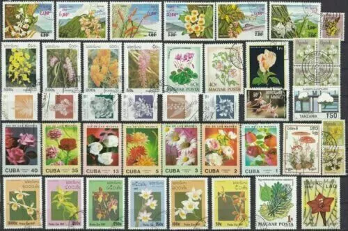 Marken Thema Blumen und Pflanzen Flowers fleurs fiori цветы flores blomster 1311