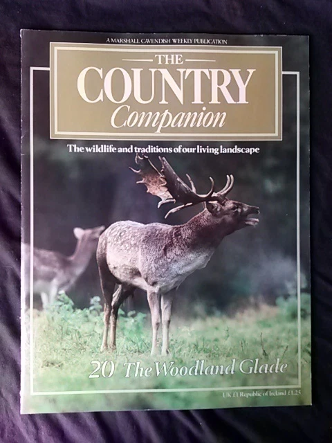 Country-Companion-20-The-Woodland-Glade.