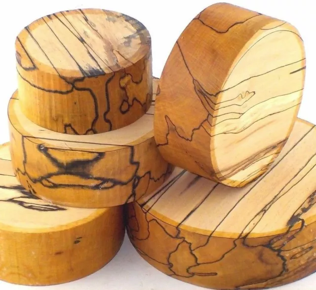 One Spalted Beech woodturning or wood carving bowl blank. 50mm & 75mm thick.