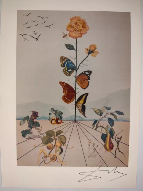 Salvador Dali COA Vintage Signed Art Print on Paper Limited Edition Signed