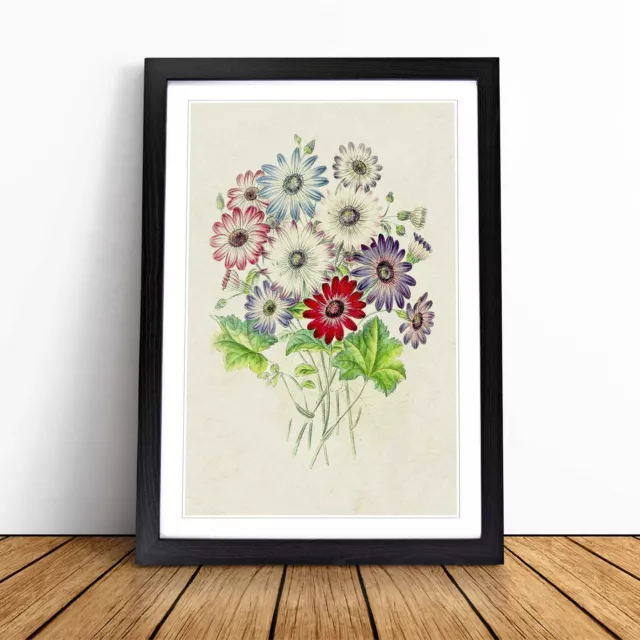 Bunch Of Wild Flowers Vintage Wall Art Print Framed Canvas Picture Poster Decor