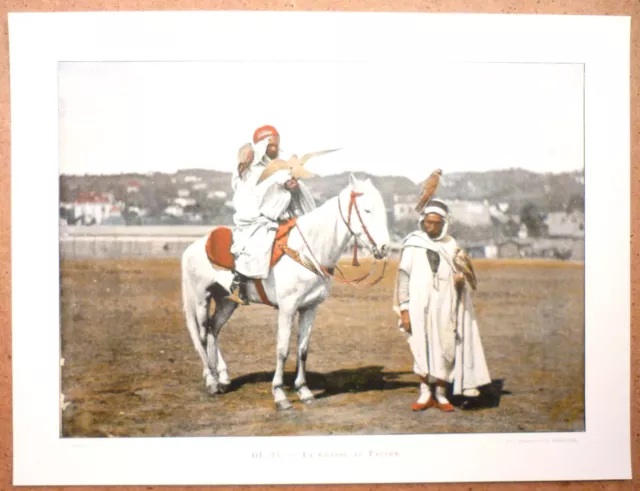 LA CHASSE AU FALCON in Algeria - Photochromy late 19th engraving